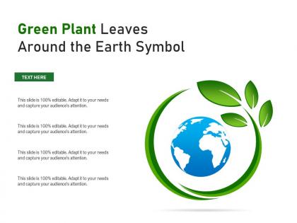 Green plant leaves around the earth symbol