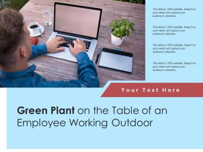 Green plant on the table of an employee working outdoor