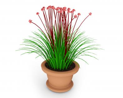 Green red plant pot stock photo