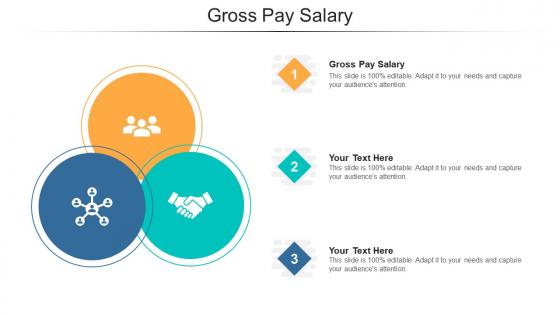 Gross pay salary ppt powerpoint presentation file designs cpb