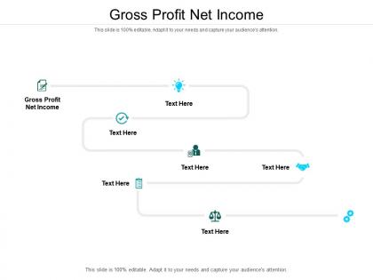 Gross profit net income ppt powerpoint presentation show example cpb