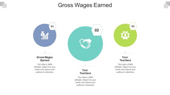 Gross wages earned ppt powerpoint presentation portfolio styles cpb
