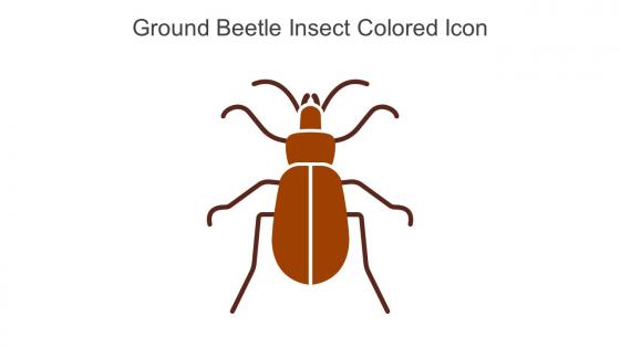 Ground Beetle Insect Colored Icon In Powerpoint Pptx Png And Editable Eps Format