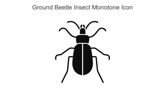 Ground Beetle Insect Monotone Icon In Powerpoint Pptx Png And Editable Eps Format