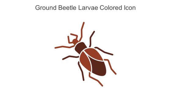 Ground Beetle Larvae Colored Icon In Powerpoint Pptx Png And Editable Eps Format
