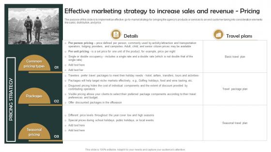 Group Tour Operator Effective Marketing Strategy To Increase Sales And Revenue Pricing BP SS