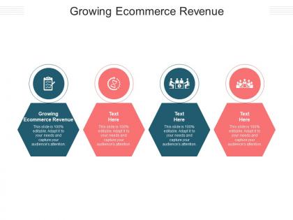 Growing ecommerce revenue ppt powerpoint presentation infographic template pictures cpb