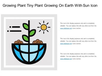 Growing plant tiny plant growing on earth with sun icon