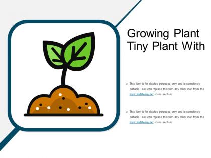 Growing plant tiny plant with