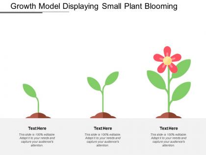 Growth model displaying small plant blooming