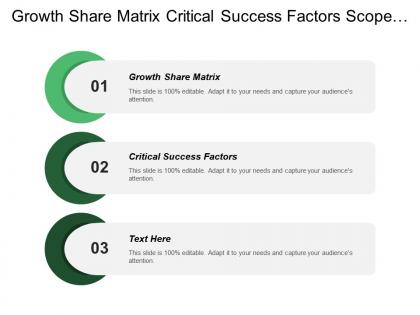 Growth share matrix critical success factors scope activities