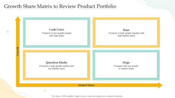 Growth Share Matrix To Review Product Portfolio
