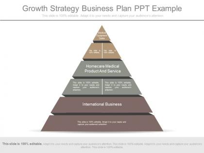 Growth strategy business plan ppt example