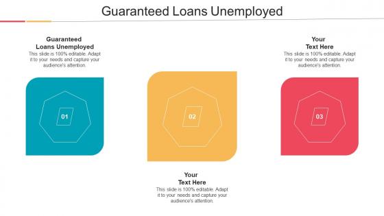 Guaranteed Loans Unemployed Ppt Powerpoint Presentation Gallery Themes Cpb