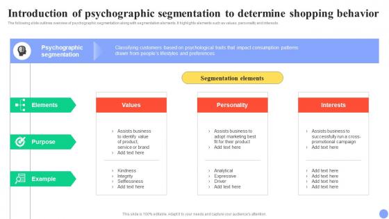 Guide For User Segmentation Introduction Of Psychographic Segmentation To Determine MKT SS V