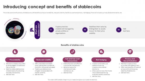 Guide On Defining Roles Of Stablecoins Introducing Concept And Benefits Of Stablecoins BCT SS