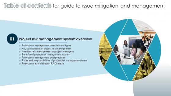 Guide To Issue Mitigation And Management Table Of Contents