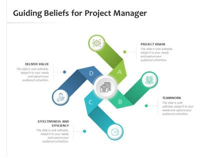 Guiding beliefs for project manager