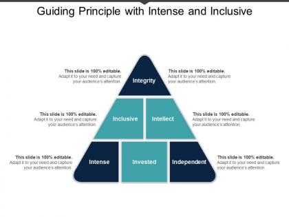 Guiding principle with intense and inclusive