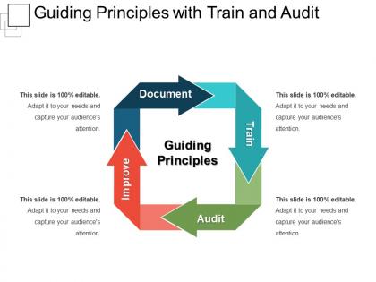 Guiding principles with train and audit