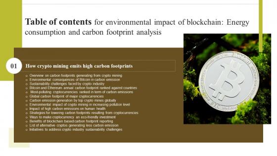 H11 Environmental Impact Of Blockchain Energy Consumption And Carbon For Table Of Content BCT SS