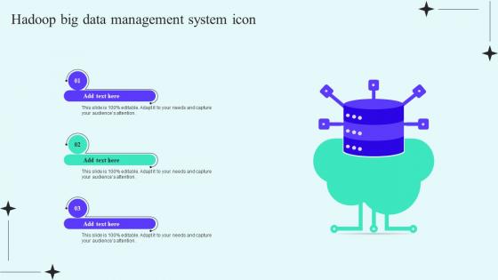 Hadoop Big Data Management System Icon