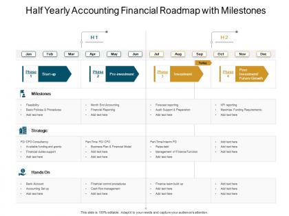 Half yearly accounting financial roadmap with milestones