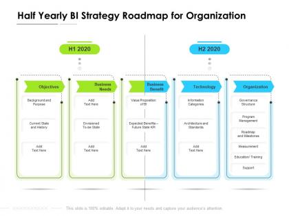 Half yearly bi strategy roadmap for organization