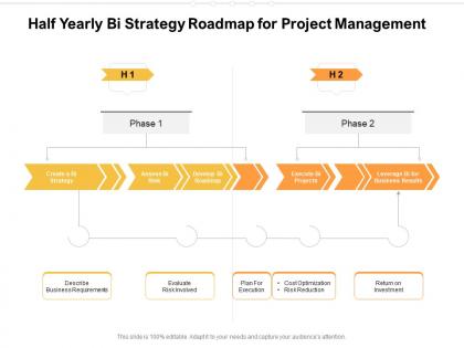 Half yearly bi strategy roadmap for project management