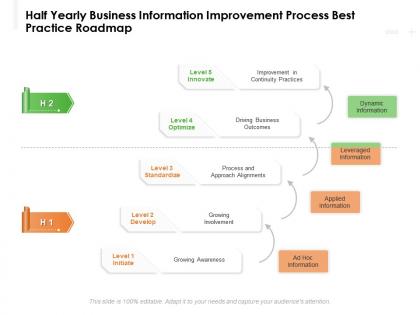 Half yearly business information improvement process best practice roadmap