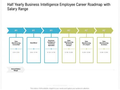 Half yearly business intelligence employee career roadmap with salary range