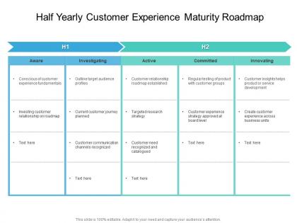 Half yearly customer experience maturity roadmap