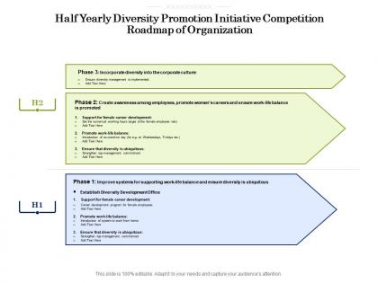 Half yearly diversity promotion initiative competition roadmap of organization