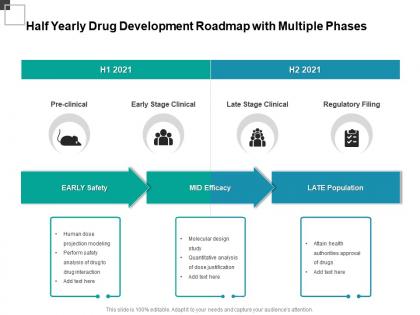 Half yearly drug development roadmap with multiple phases