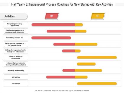 Half yearly entrepreneurial process roadmap for new startup with key activities