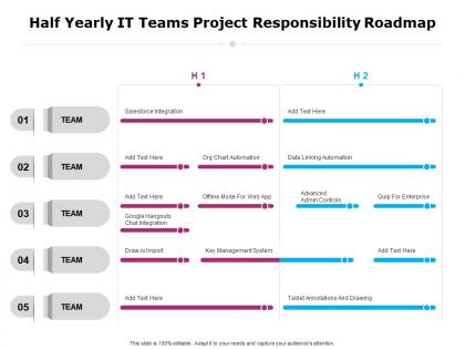 Half yearly it teams project responsibility roadmap