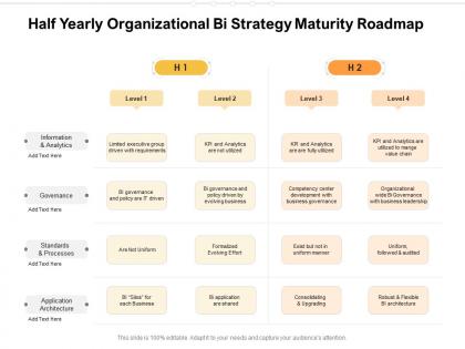 Half yearly organizational bi strategy maturity roadmap