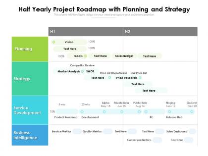 Half yearly project roadmap with planning and strategy