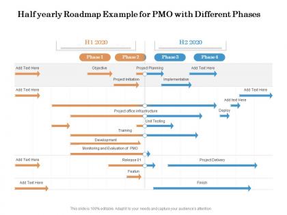 Half yearly roadmap example for pmo with different phases