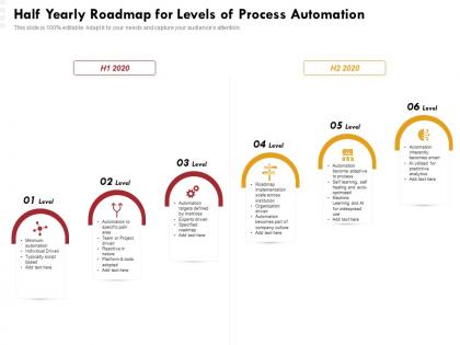 Half yearly roadmap for levels of process automation
