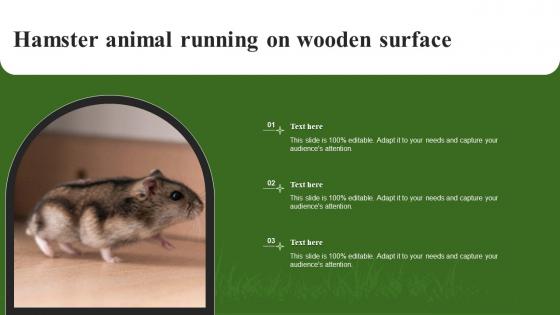 Hamster Animal Running On Wooden Surface