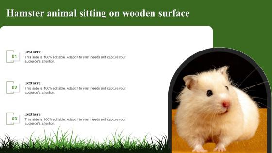 Hamster Animal Sitting On Wooden Surface