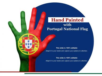 Hand painted with portugal national flag