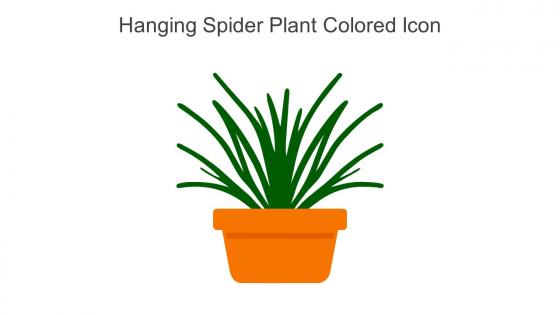 Hanging Spider Plant Colored Icon In Powerpoint Pptx Png And Editable Eps Format