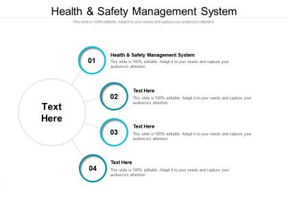 Health and safety management system ppt powerpoint presentation pictures objects cpb