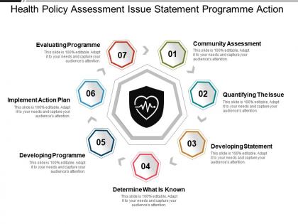 Health policy assessment issue statement programme action