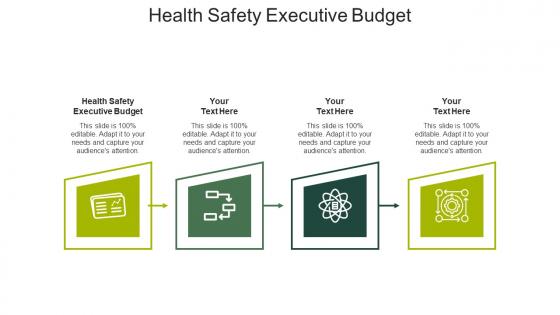 Health safety executive budget ppt powerpoint presentation summary gallery cpb