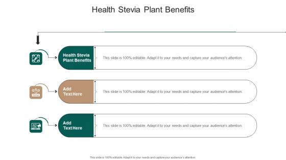 Health Stevia Plant Benefits In Powerpoint And Google Slides Cpb