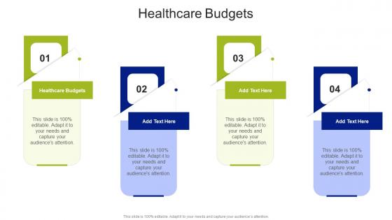 Healthcare Budgets In Powerpoint And Google Slides Cpb