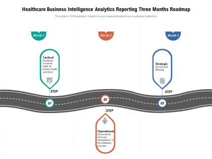 Healthcare business intelligence analytics reporting three months roadmap
